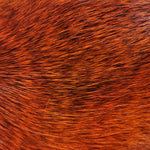Deer Body Hair Natural