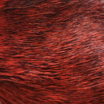 Deer Body Hair Natural
