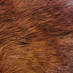 Deer Body Hair Natural