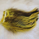 Attractor Badger Neck Hackle