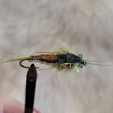 Olive Braided Stonefly