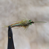 Olive Braided Stonefly
