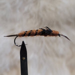 Brown Stonefly