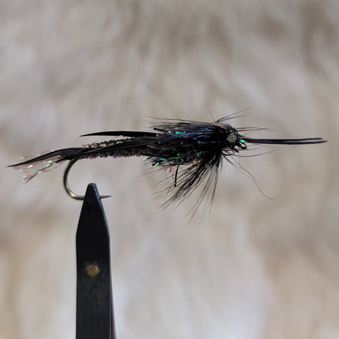 Black Braided Stonefly