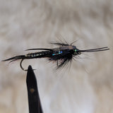 Black Braided Stonefly