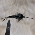 Black Braided Stonefly