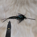 Black Braided Stonefly