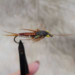Brown Braided Stonefly