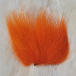 Dyed Polar Bear