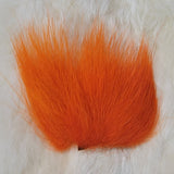 Dyed Polar Bear