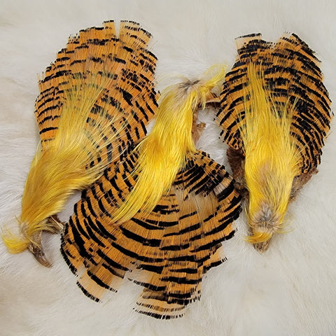 Complete Golden Pheasant Head Natural