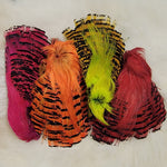 Complete Golden Pheasant Head Dyed