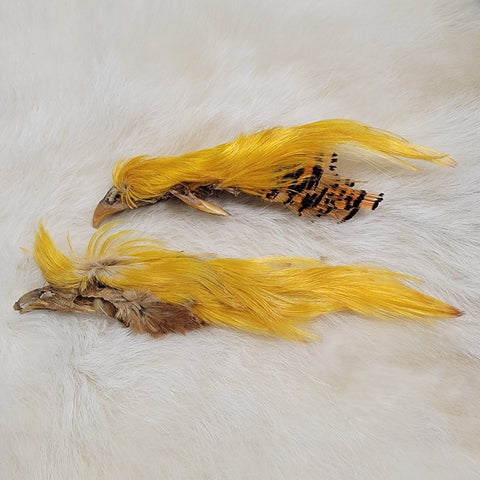 Golden Pheasant Crest Natural