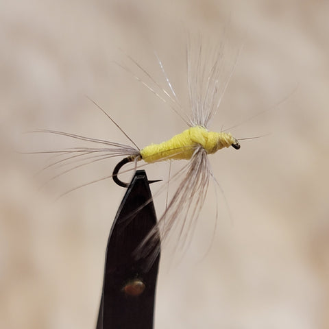 Yellow Spinner