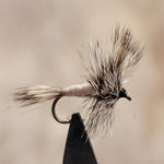 Grey Wulff Trout Fly