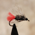 Grizzly Hackle Peacock
