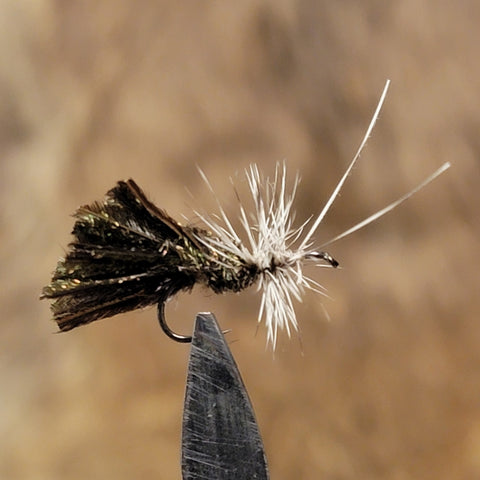 Peacock Goddard Caddis