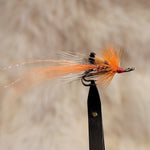 Ally's Shrimp