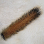 Red Squirrel Tail