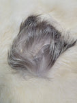 Fox Strips - Cross Cut