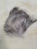 Fox Strips - Cross Cut