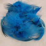 Mallard Flank