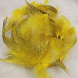 Mallard Flank