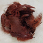 Mallard Flank