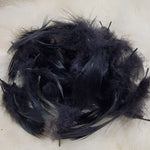 Mallard Flank