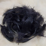 Mallard Flank