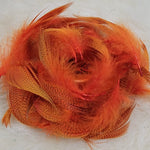 Mallard Flank