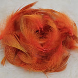 Mallard Flank