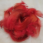Mallard Flank