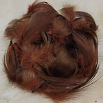 Mallard Flank