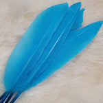 Duck Quill