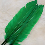 Duck Quill