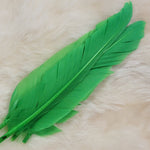 Duck Quill