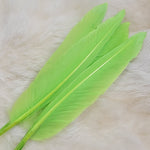 Duck Quill