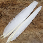 Duck Quill