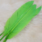 Duck Quill