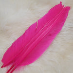 Duck Quill
