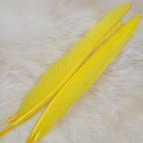 Duck Quill