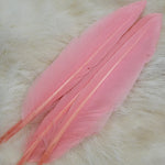 Duck Quill