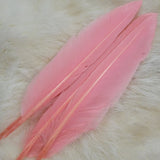 Duck Quill