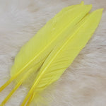 Duck Quill