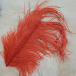 Ostrich Herl