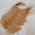 Ostrich Herl