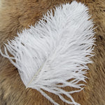 Ostrich Herl
