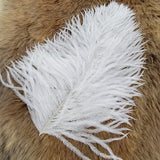 Ostrich Herl