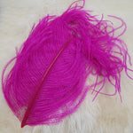 Ostrich Herl